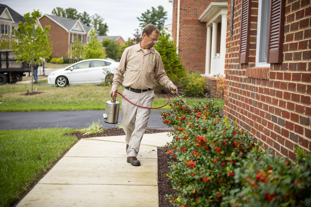 Buyer Beware: Bed Bugs Can Squash Real Estate Deals