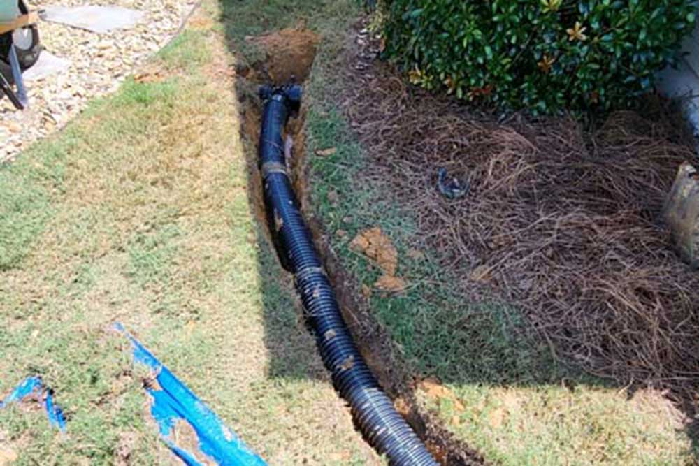 How to Improve Garden Drainage with Simple, Affordable Solutions